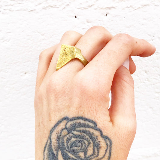 The Beak Ring