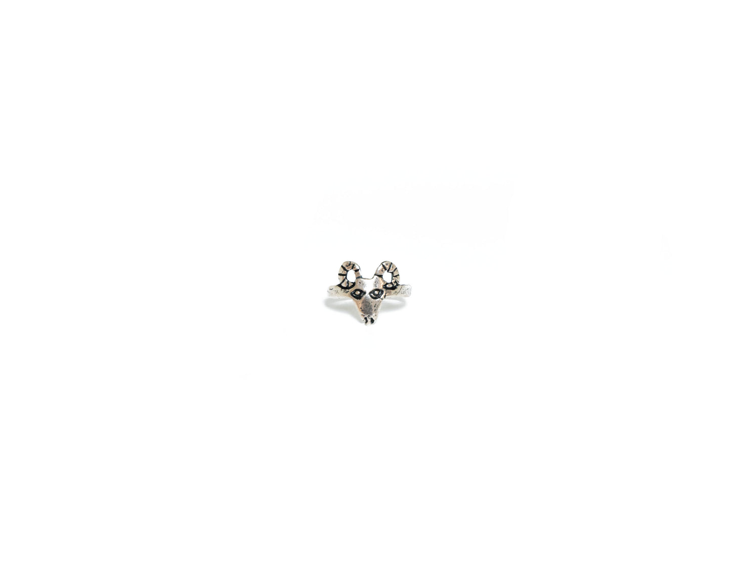 The Itty Ram Ring