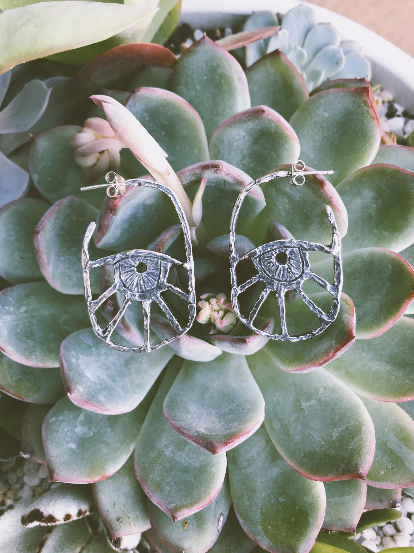 The Visionary Studs